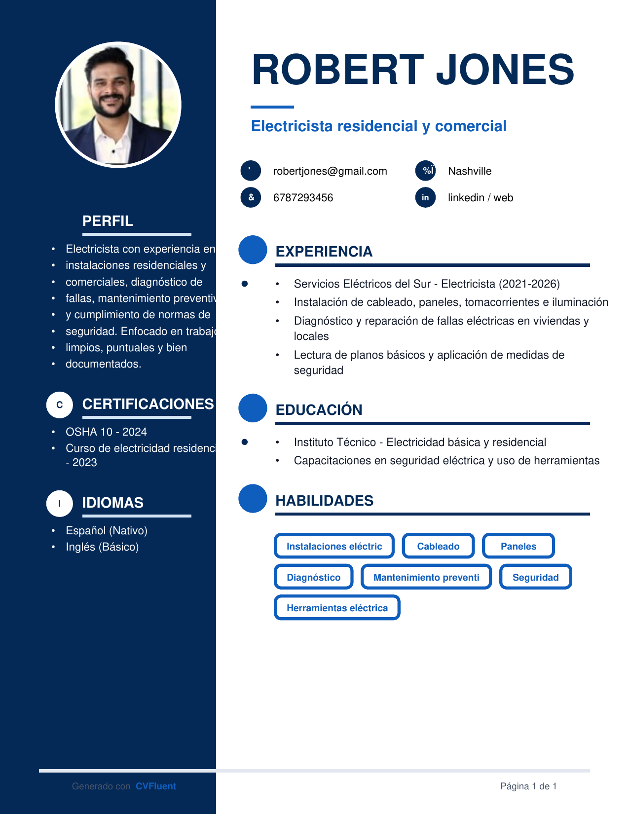 Professional resume example